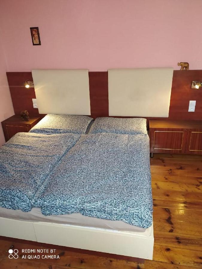 Penzion U Lipy Decin Ngoại thất bức ảnh