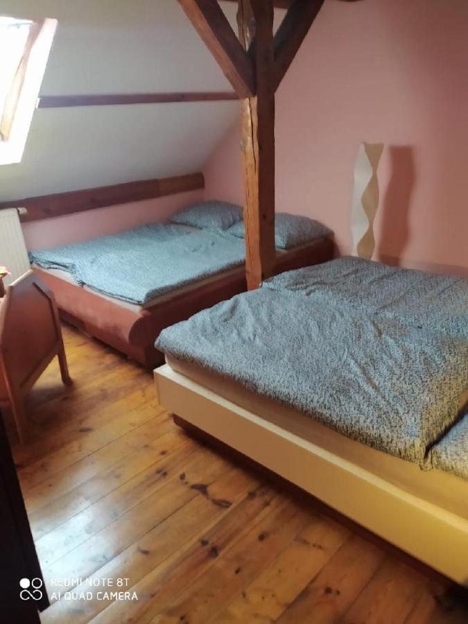 Penzion U Lipy Decin Ngoại thất bức ảnh